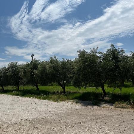Il Casale Del Nonno Armando Βίλα Torrevecchia Teatina Εξωτερικό φωτογραφία