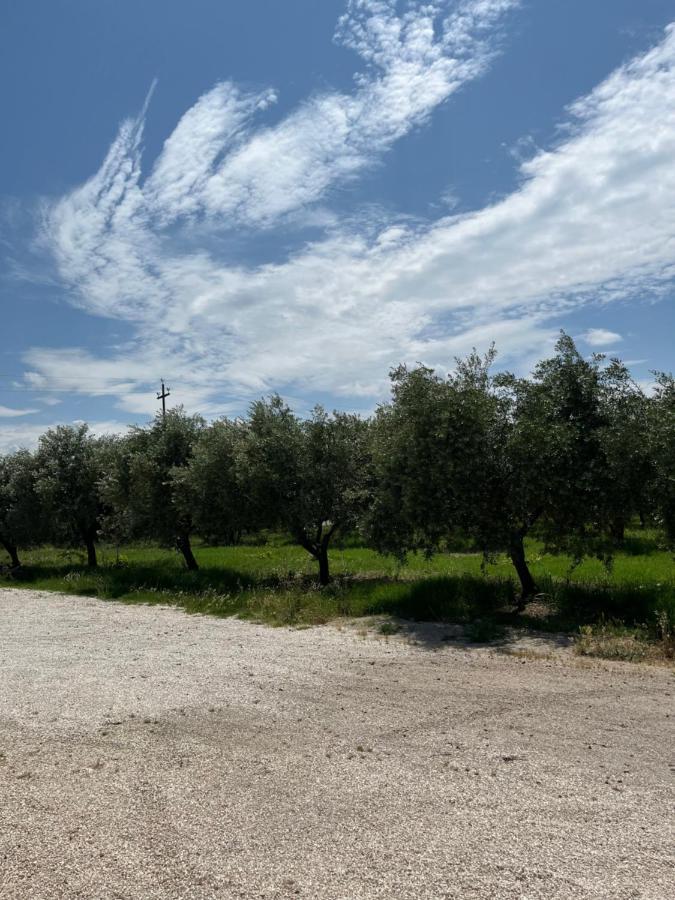 Il Casale Del Nonno Armando Βίλα Torrevecchia Teatina Εξωτερικό φωτογραφία