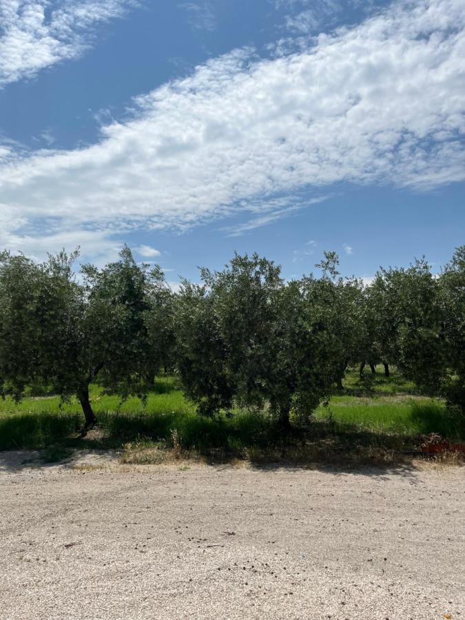 Il Casale Del Nonno Armando Βίλα Torrevecchia Teatina Εξωτερικό φωτογραφία